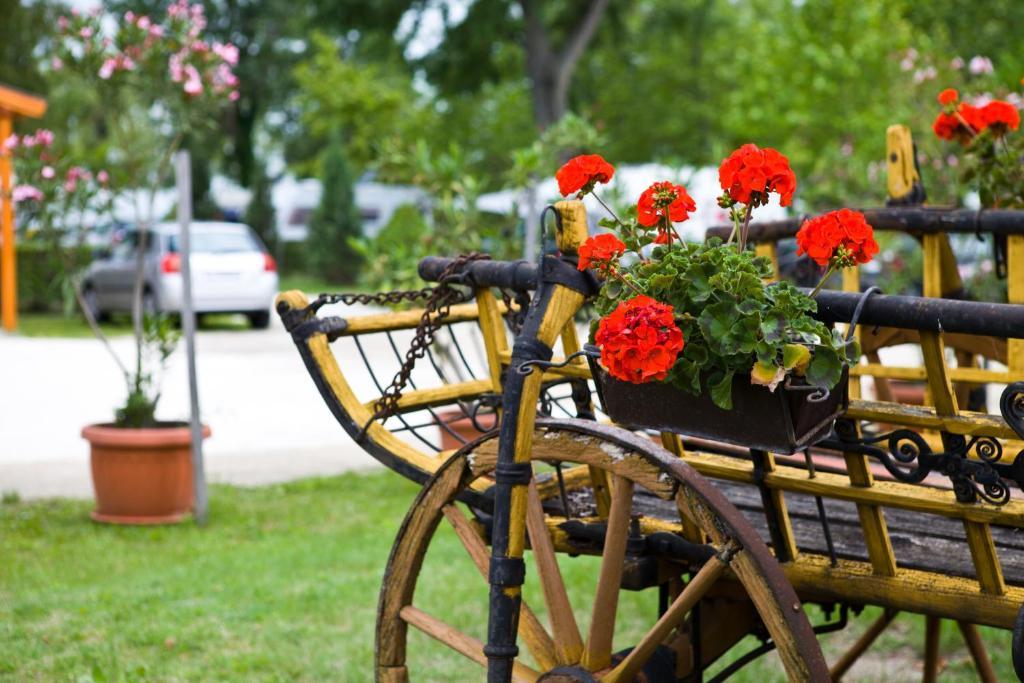 Отель Balaton Eldorado Camping Бадачоньтёрдемиц Экстерьер фото